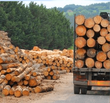 hardwood timber image